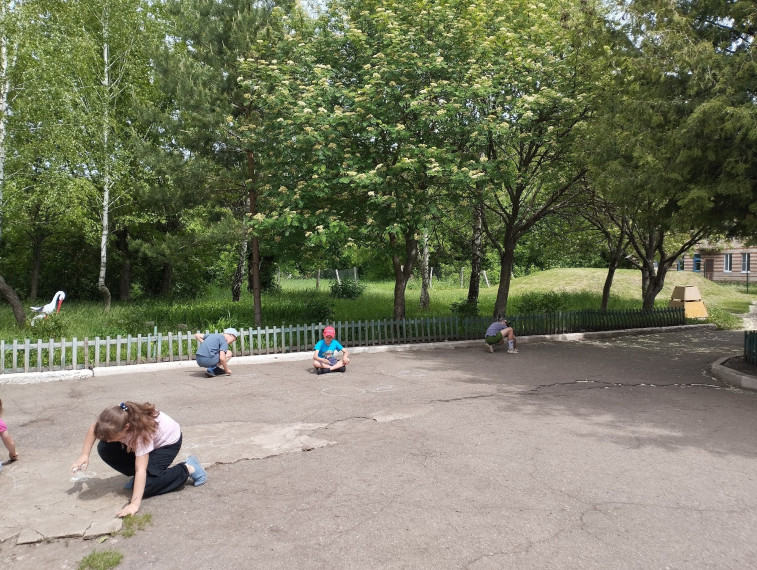 Пришкольный оздоровительный лагерь.